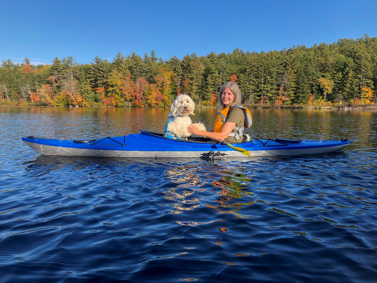 Northeast Dealer’s Choice: Splashy Classes, tours and offerings from Eddyline Dealers This Season