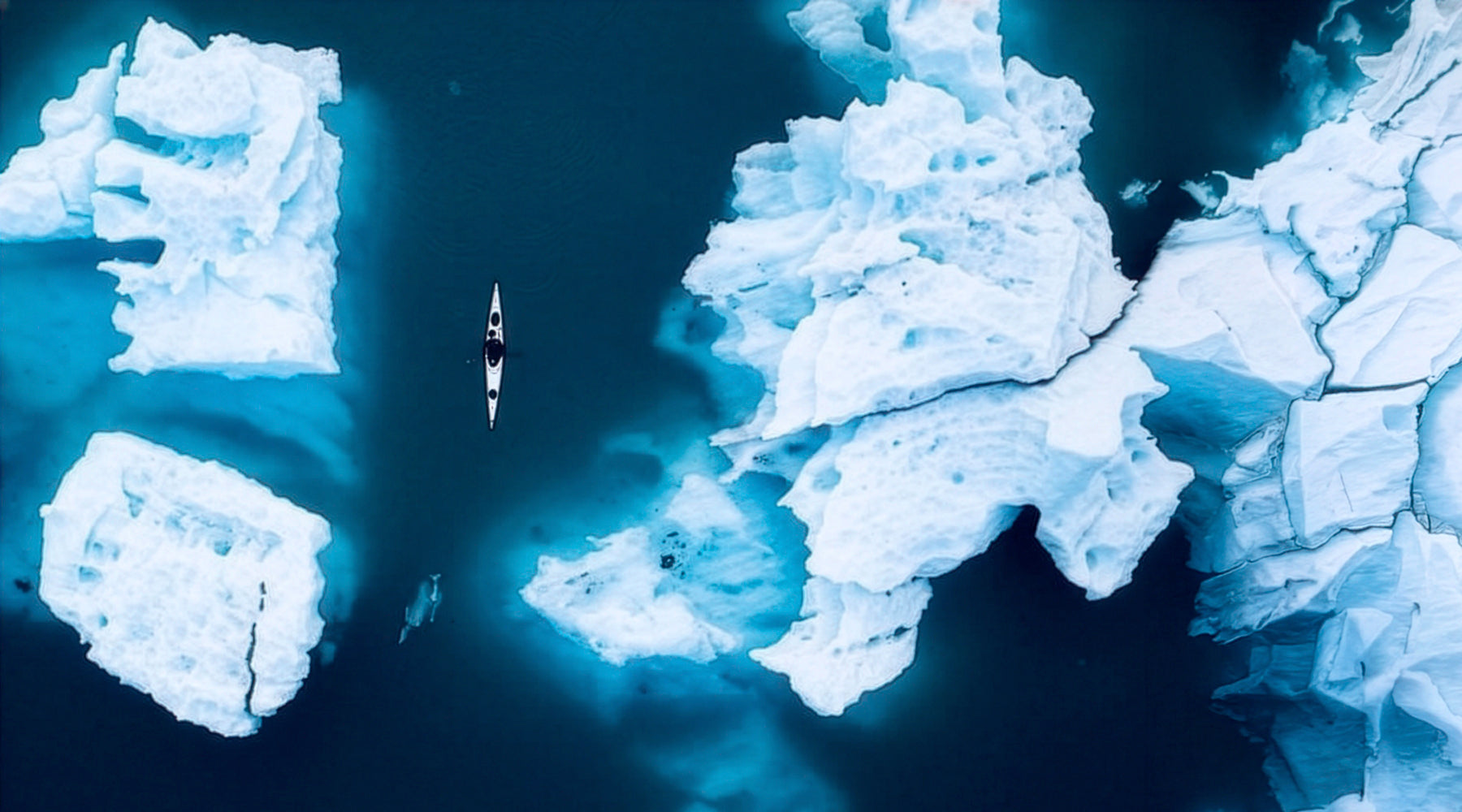 SHOPIFY EDDYLINE MAIN.jpg__PID:9dcfac35-e8b2-4cef-968d-26682ba4db4a